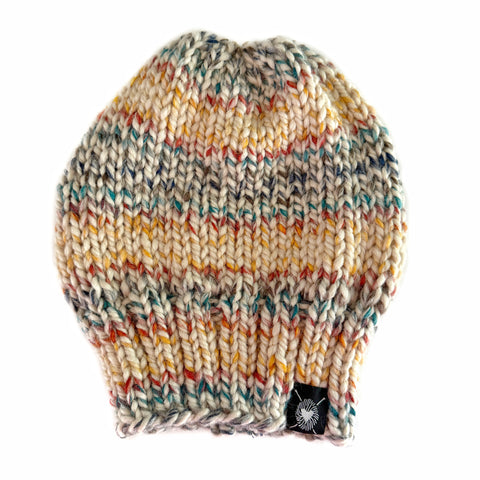 Slouchy Beanie in Autumn Rainbow